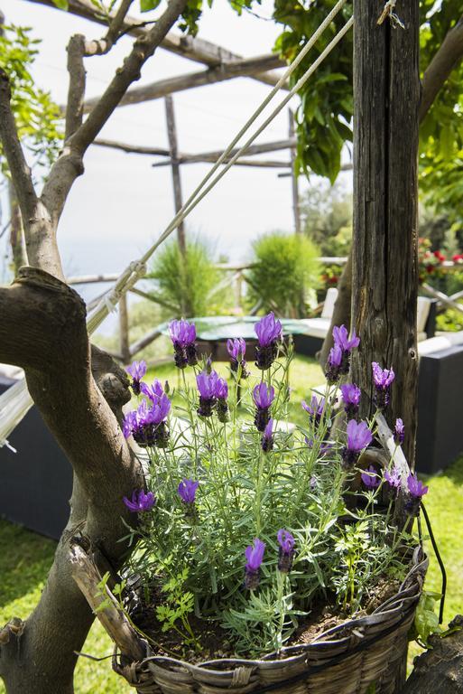 Villa Gianlica Праяно Екстериор снимка
